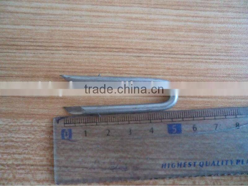 U-type nails china supplier on hot sale