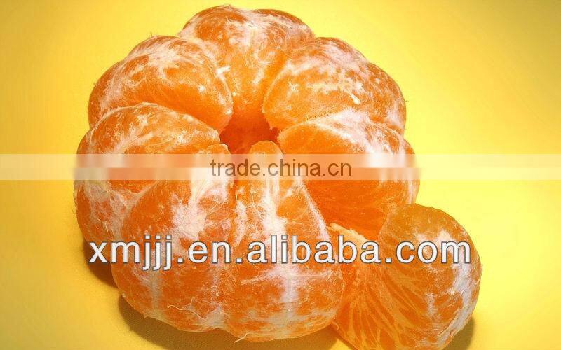 Sweet Nanfeng Baby orange