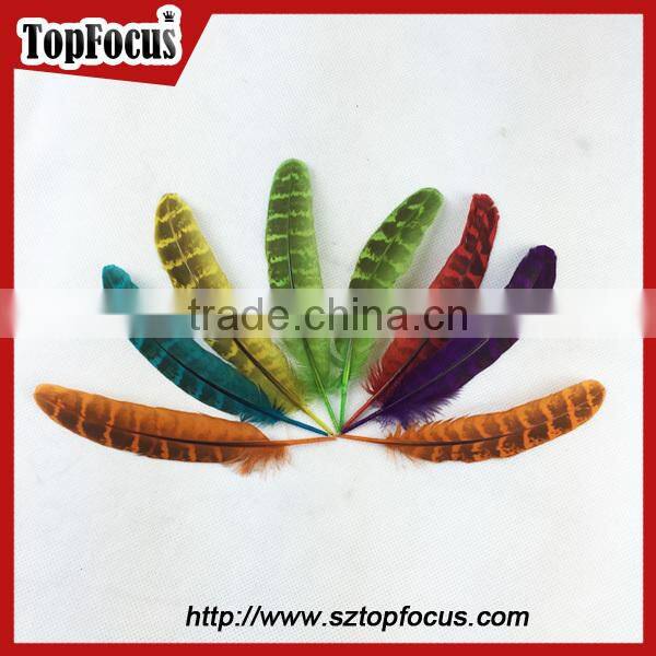 reeves cheap Natural Pheasant Tail Pheasant Feather for sale