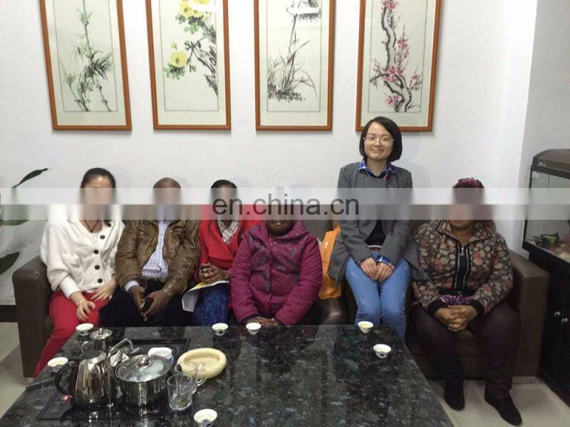 Digital Displaying Sand and Dust Resistance Testing Chamber Price