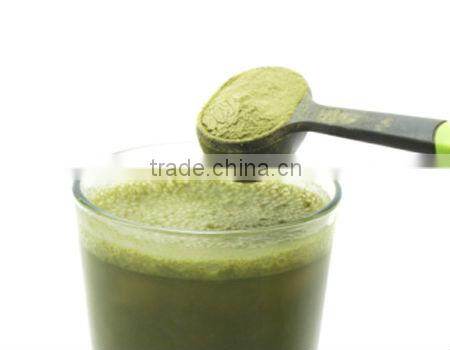 superior quality spirulina powder bulk sale