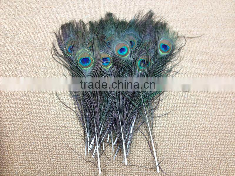 12-13"/30-35cm length Peacock Sword Feather Natural Green For Hats/Costume/Crafts