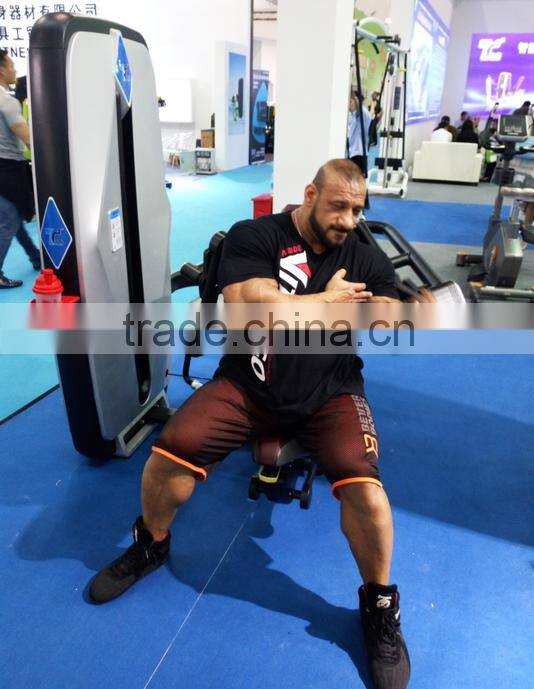 FIBO Products Fitness equipment / TZ -8006 Back Extension