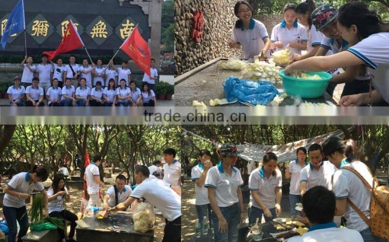 200w High Bay Global leader in the LED manufacturing segment