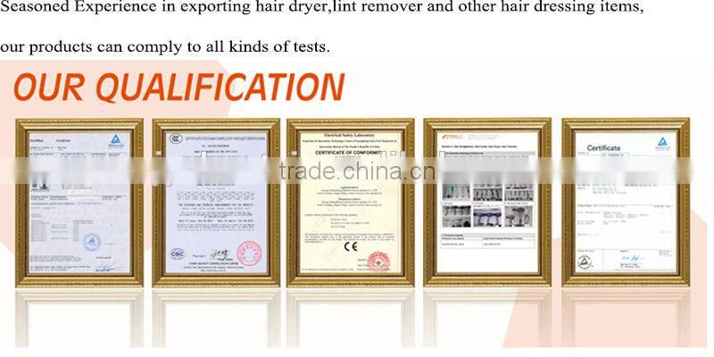 Cheap Price Foldable Mini Hair Dryer with Travel