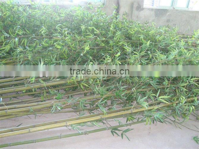 artificial bamboo on sale,artificial palnt,high quality artificial plants