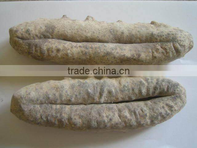 LOWEST PRICE AND HIGH QUALITY DRIED SEA CUCUMBERS