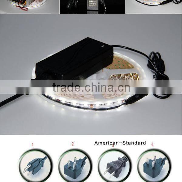 Festival Color Led Digital Strip Light SMD5050 With CE