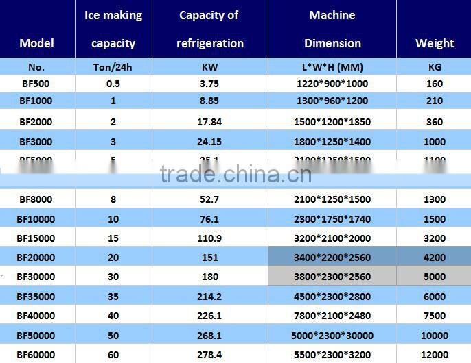 Automatic Ice Flake Machine in High Quality
