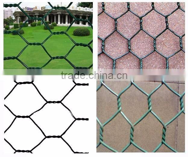 PVC Coated Chicken wire mesh