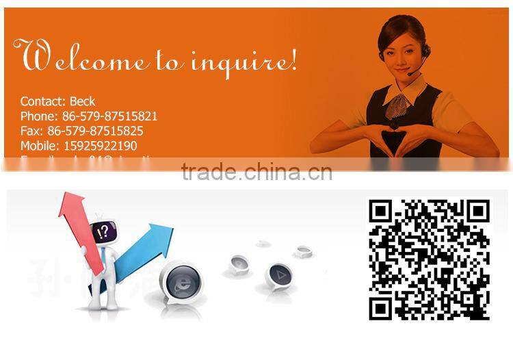 25CC Petrol Chainsaw Chain Saw 10" Inch Bar Tree Log Pruning Pruner