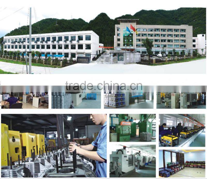 New 1kW EPA Approval Gasoline Digital Inverter Generator