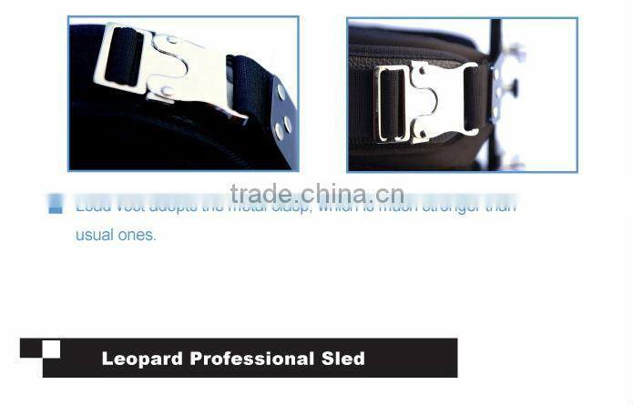 Wondlan IV 6-15kg Camera Video Stabilizer Steadicam deluxe edition + Monitor