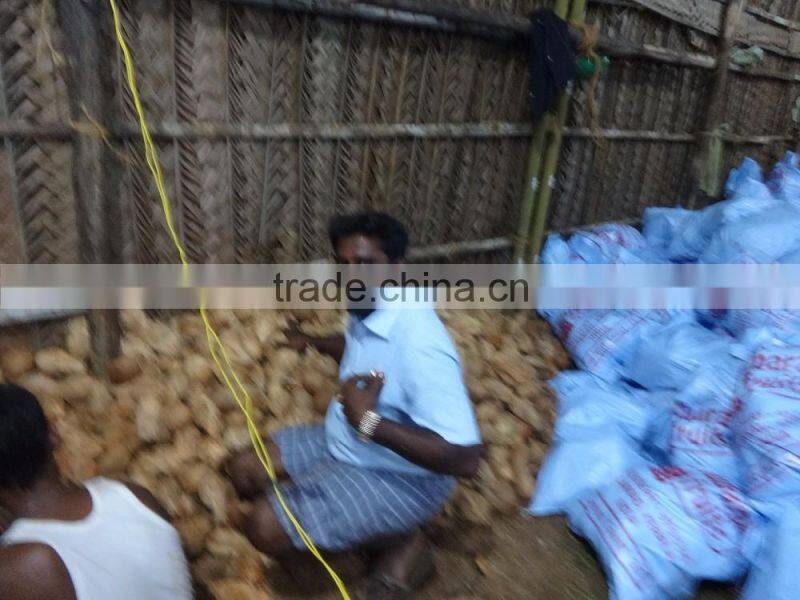 Fresh SemiHusked Cocount