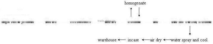 Gable Top Carton Filling Machine for milk 011