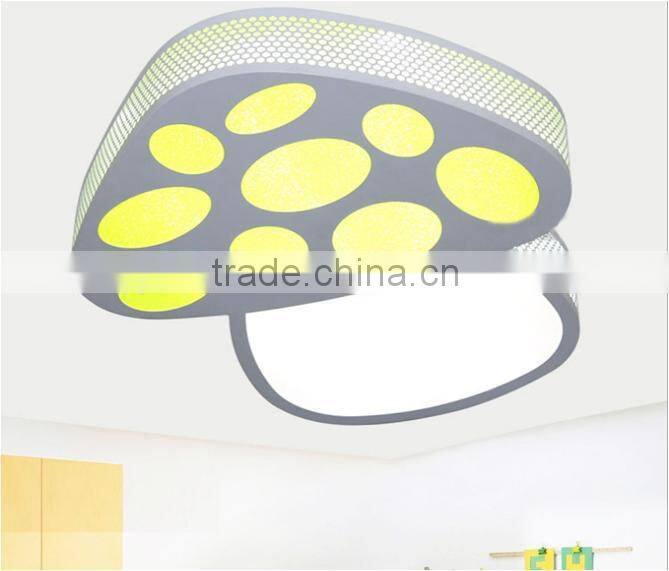 High quality arcylic ceiling lighting,bedroom LED ceiling lighting fixturer