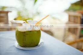 Fresh Indian Coconut in Semi Husked