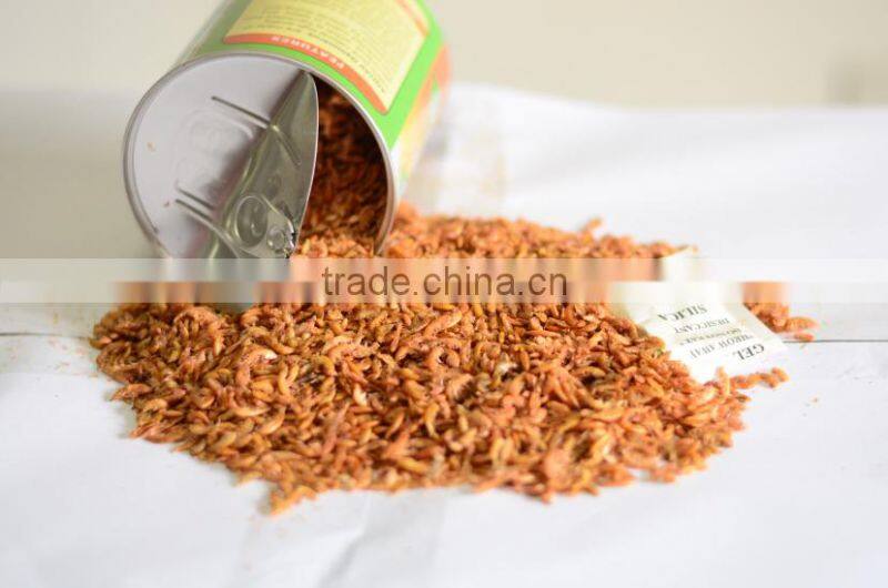 Canned sun dried gammarus