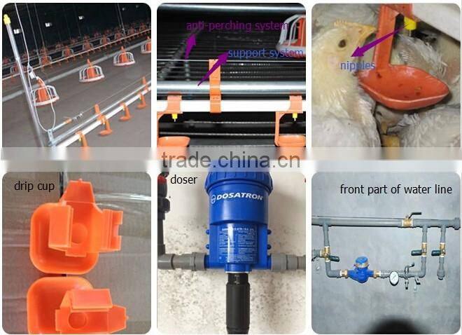 automatic chicken farm supplies farm equipment chicken