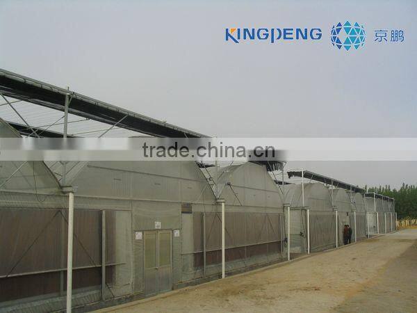 Plastic Film Greenhouse ISO9001:2000