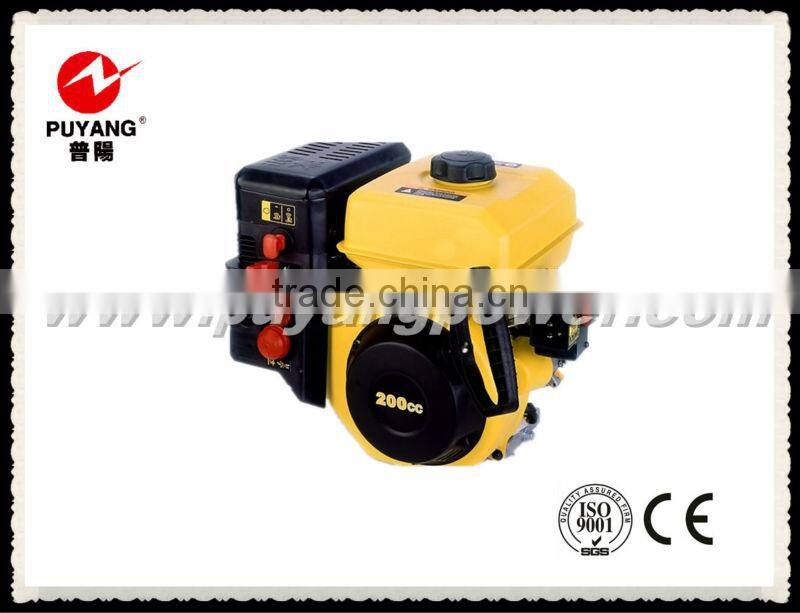 163cc High performance gasoline engine
