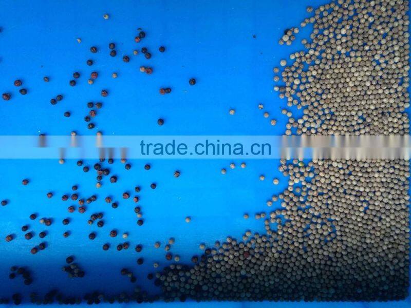 Color sorter for grain,seeds,rice grand selection