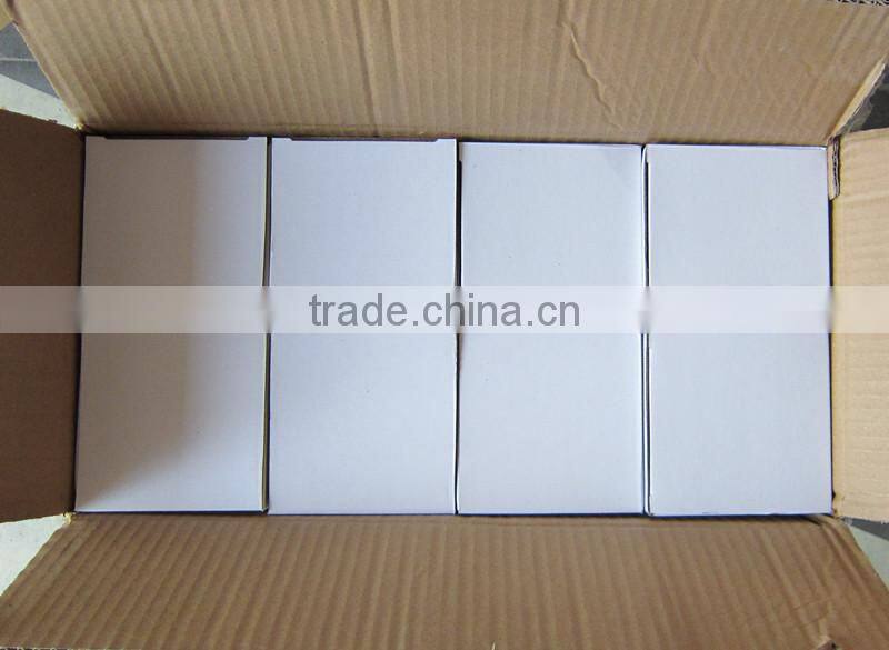 Acrylic simple photo holder snow globe