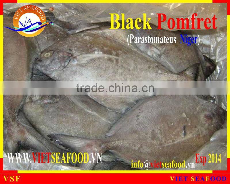 W/R FROZEN BLACK POMFRET