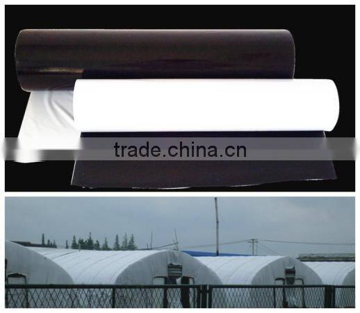 2017 Commercial Film Greenhouse with Roll Up Ventilation