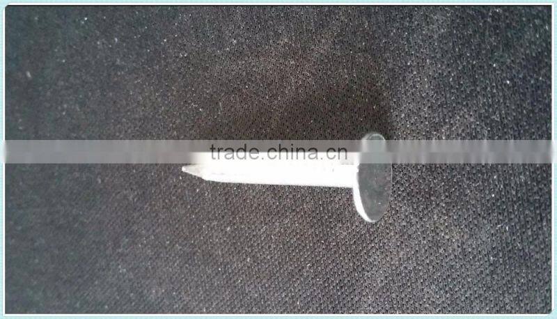 coil roofing,factory direct sale nails