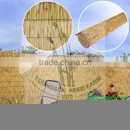 reed fence