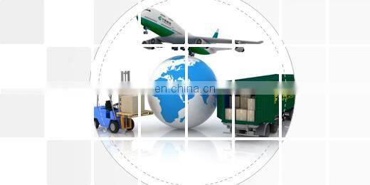 Green Airship Shaped Cheap Inflatable Helium Balloon Advertising Airplane Balloon with Logo