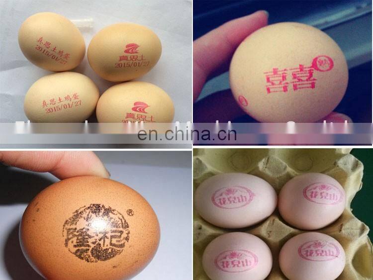 Hot sale poultry farm equipment dirty egg washer / egg processing machine