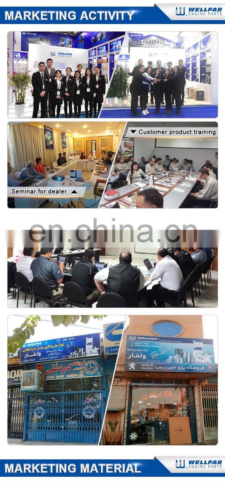 6CT 6BT ISB ISX M11 N14 china manufacture piston rings pitson for cummins