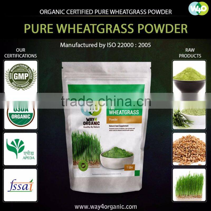 Premium Quality Wheat Grass Powder