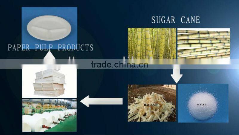 Disposable Compostable Soup Bowl