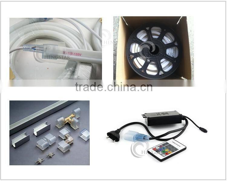 5M 300LEDs 24V 12V LED Neon Flex Digital Programmable RGB Neon LED Strip