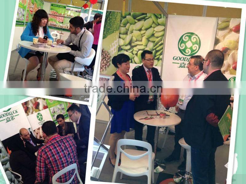 Non- GMO Soybeans Meal for Chicken Feed