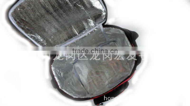 Perfect Practical Picnic environmentally eco friendly Cooler travel bags