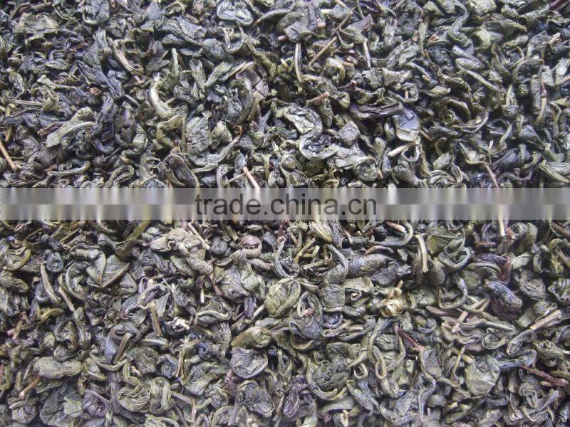 2016 new spring precious cheap hot sale gunpowder green tea 9275