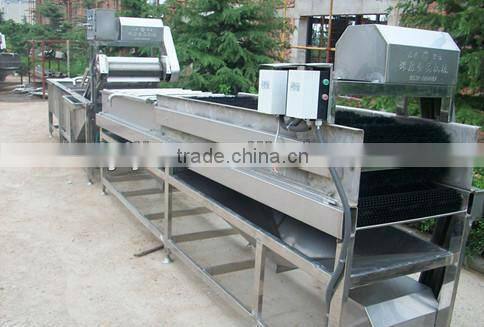 Hot sale Potato washing machine for washing manufacture