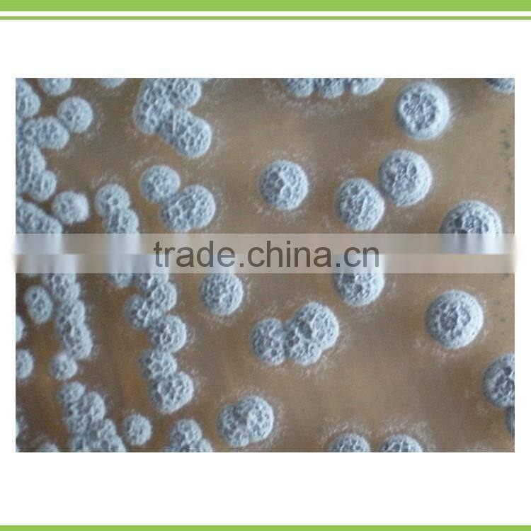 microbial fungicide for seed treatment to prevent fungi, soil brone disease