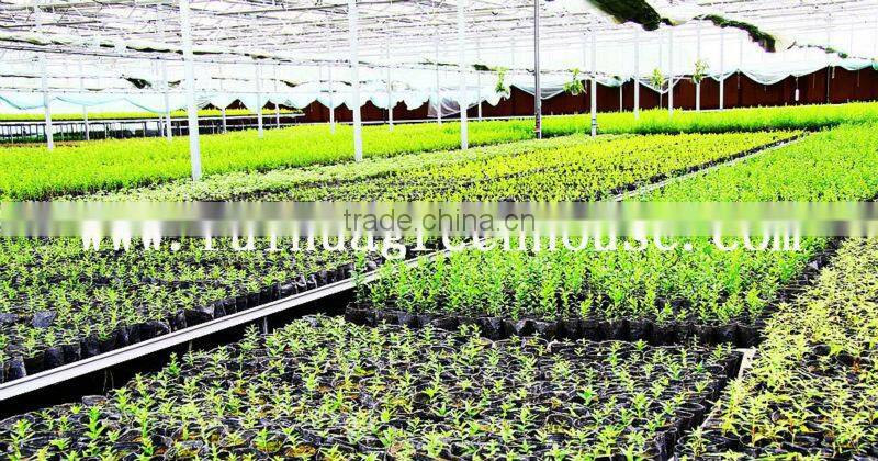 Agricultural Greenhouse Mobile Bench