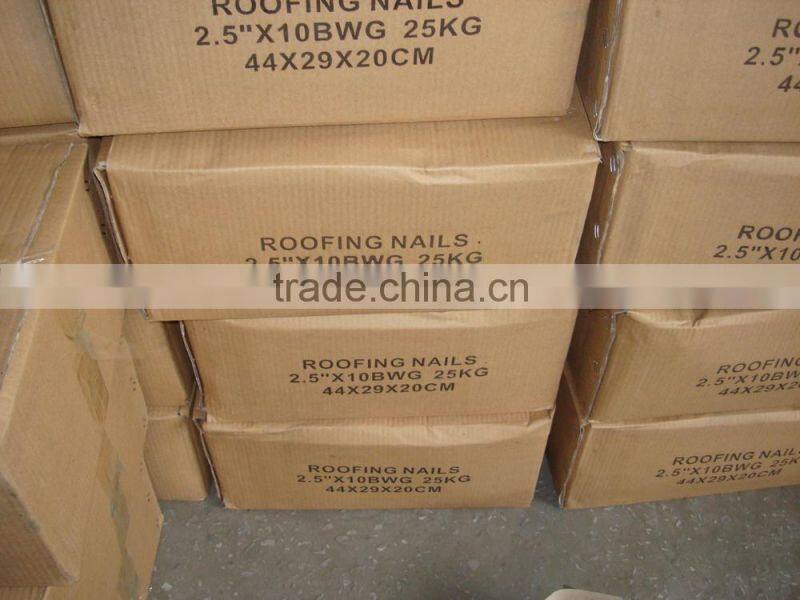 Umbrella Head Roofing Nail