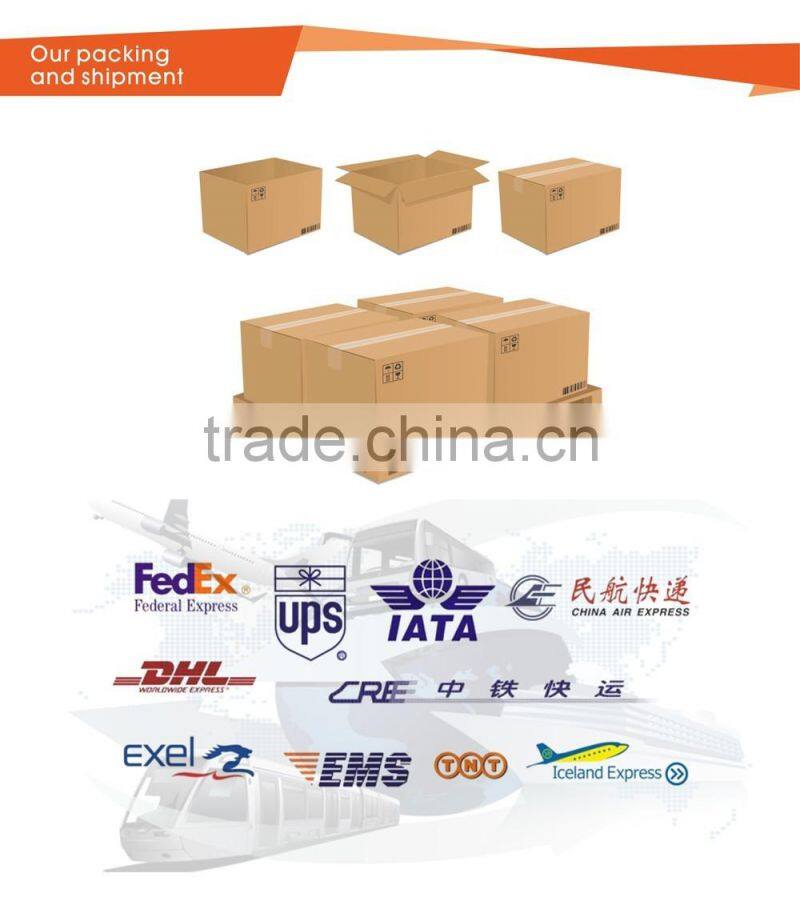 dual lens 1080p Amebarella car dvr dual view car camera
