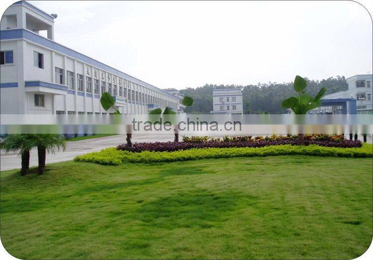 2015 Anti-Fog Snowboard Snow Ski goggle