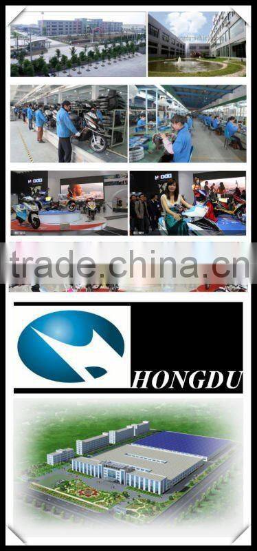 adult 250W electric tricycle