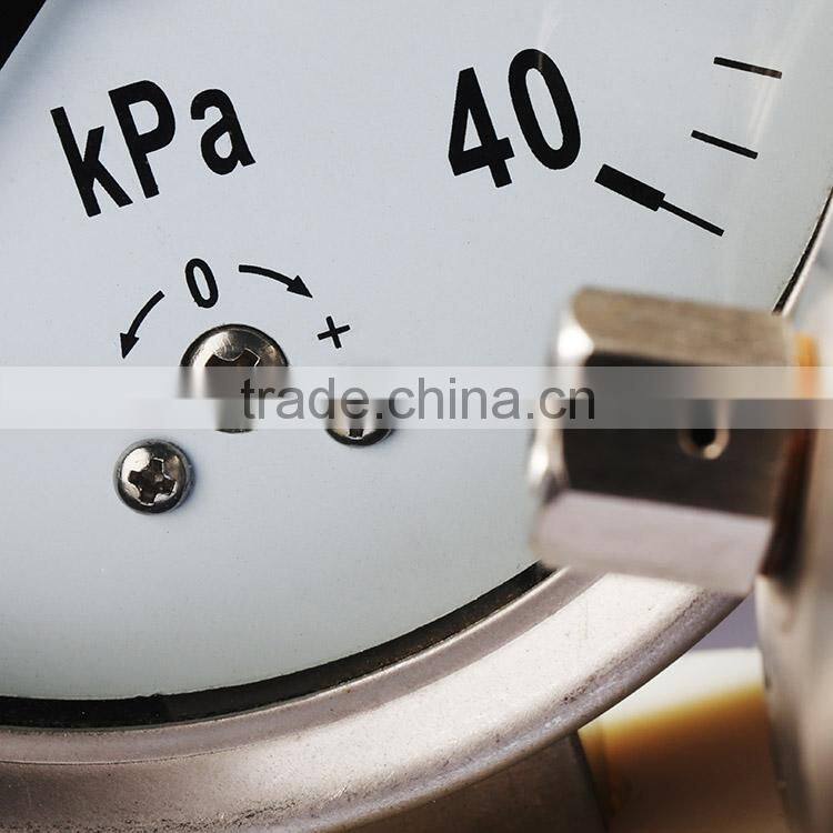 diaphragm and capsule pressure gauges EN837-3