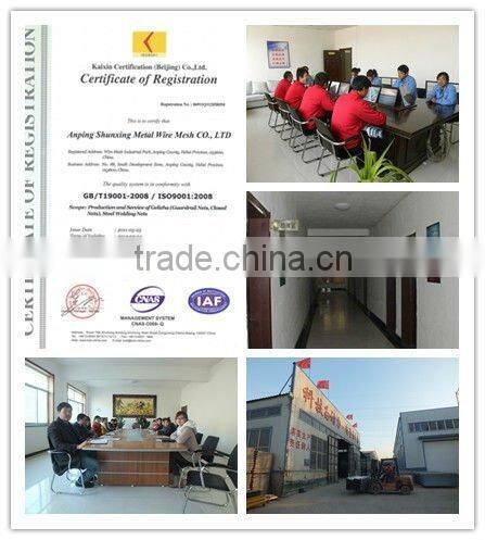 PVC Coated Holland Wire Mesh Factory