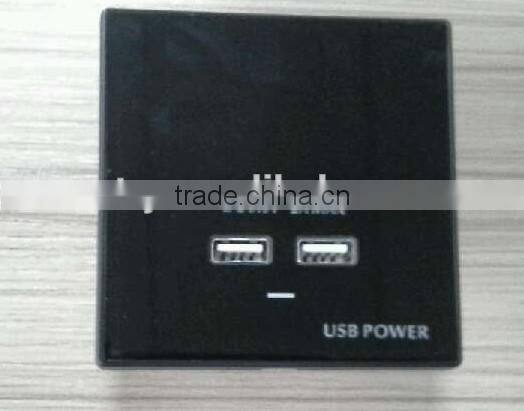Double port USB charger,glass panle usb charger